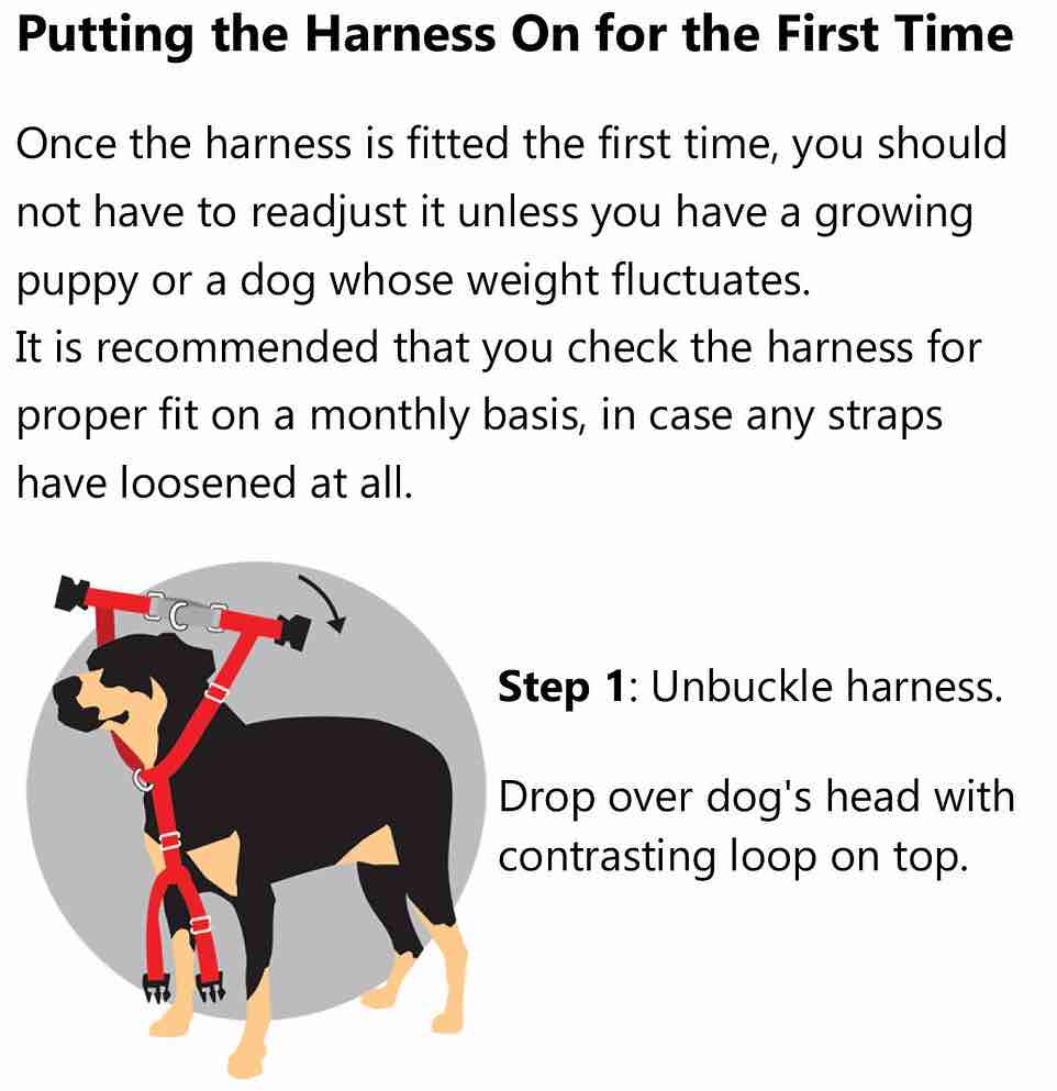 2 Hounds Design Freedom No-Pull Dog Harness & Leash - Silver