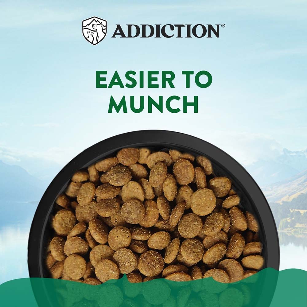 15% OFF: Addiction Le Lamb Grain-Free Small Breed Dry Dog Food 1.5kg