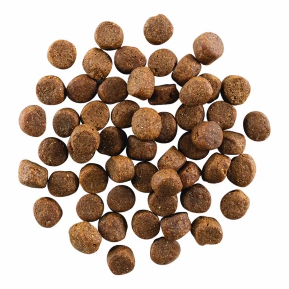 "Go! Solutions Carnivore Grain Free Chicken, Turkey + Duck Adult Recipe Dry Dog Food 3.5lb (Exp Dec 2024)"