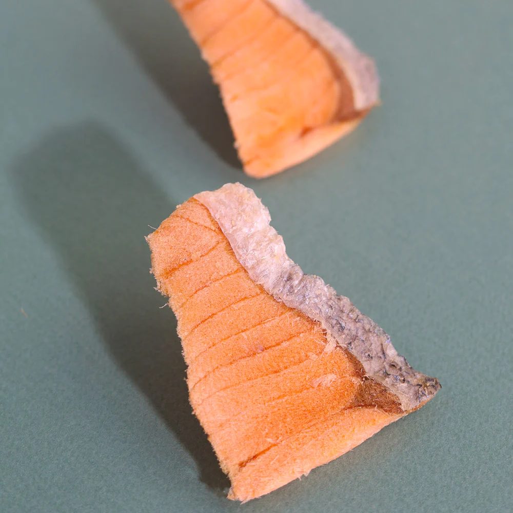 Taki Salmon Steak Freeze-Dried Treat For Cats & Dogs (1 Packet) 7.5g