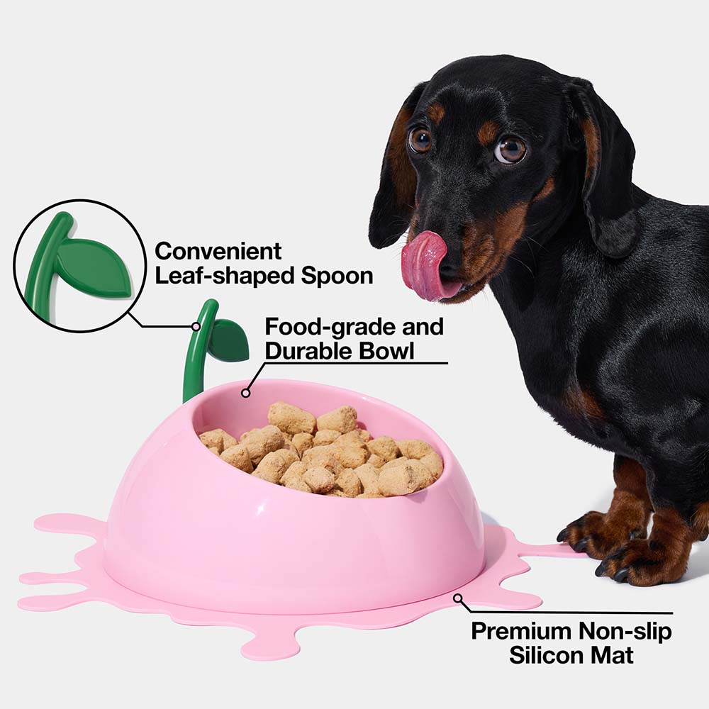 "VETRESKA Juicy Peach Bowl, Mat & Spoon Set For Cats & Dogs"