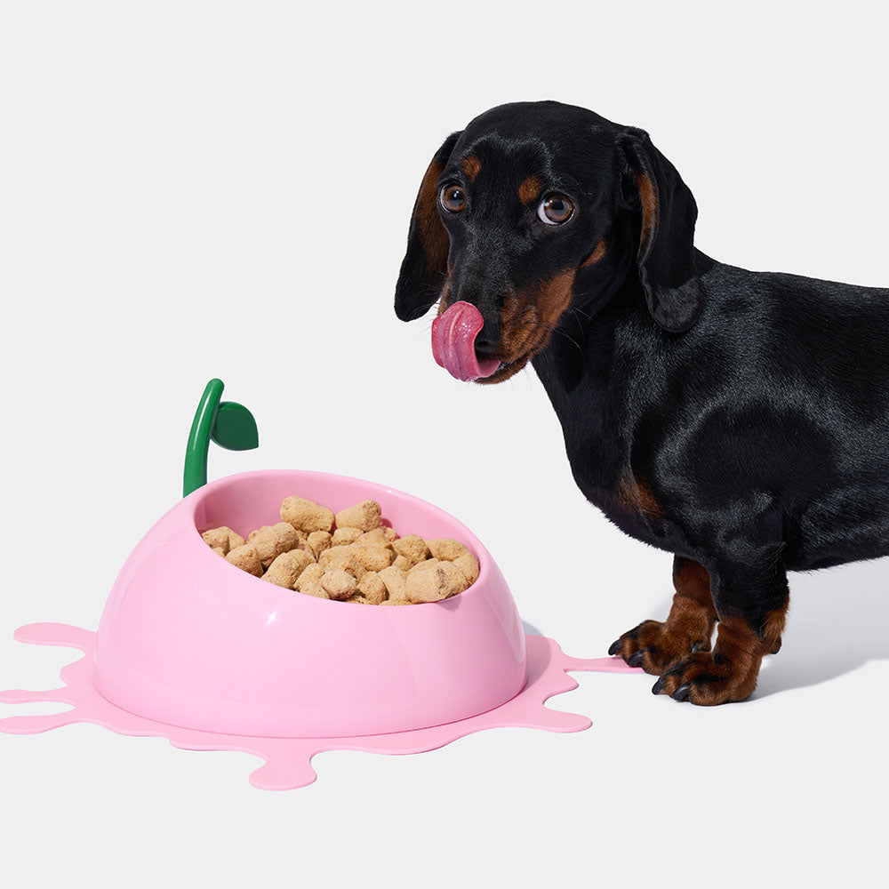 "VETRESKA Juicy Peach Bowl, Mat & Spoon Set For Cats & Dogs"